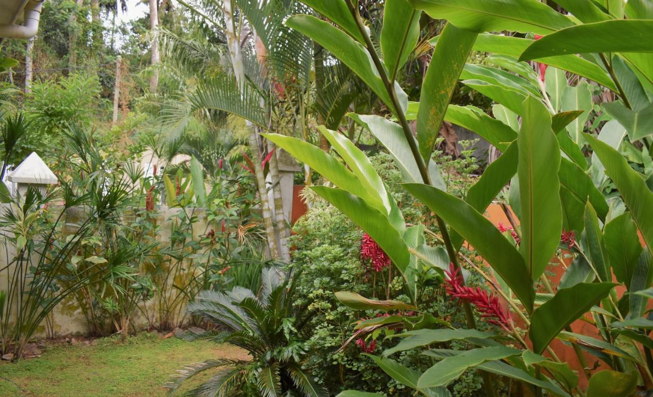 Sunbird Chalet *